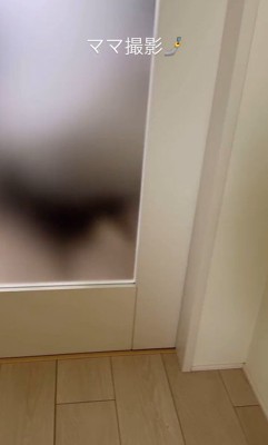 モカちゃんとママさんの再会2