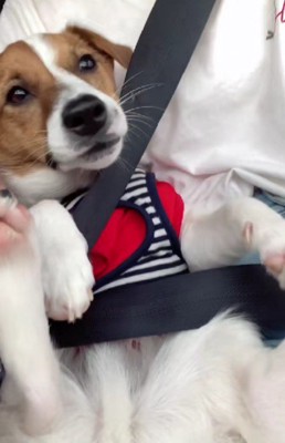 甘えん坊な一面も