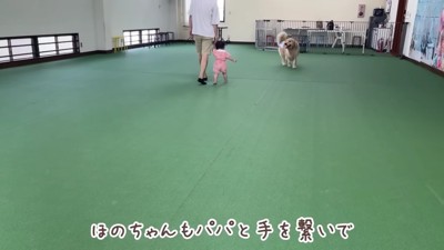 室内ドッグランにおでかけ