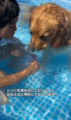 2人の女の子とシンバくんの夏休み8