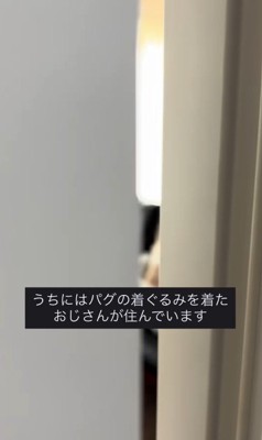 人間のように座るまめぞう君