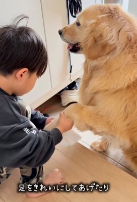 玄関で犬の足を拭く男の子