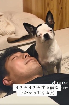 目をシパシパさせるピペちゃん