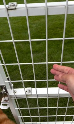 外で遊んでいた幸太郎くんと凛ちゃん6