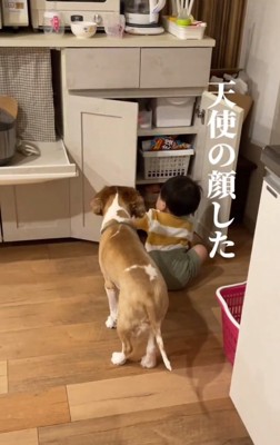 扉を開ける赤ちゃん