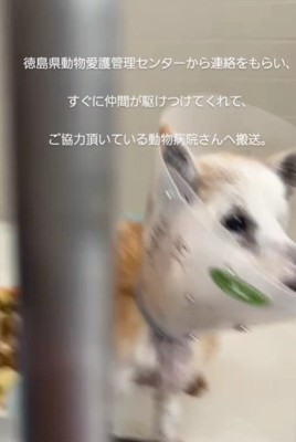 明日まで持たないかも…