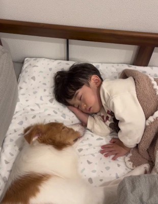 とっても優しいラスカルちゃんでした