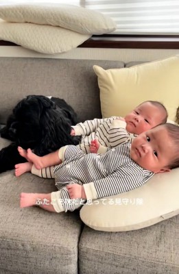 双子の赤ちゃんを枕にするわんこ