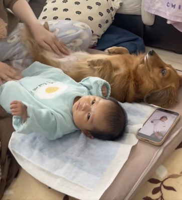 歌はポップで楽しげ