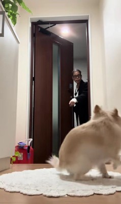 「もこちゃん、待って!」