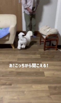 次男くんを追いかけて