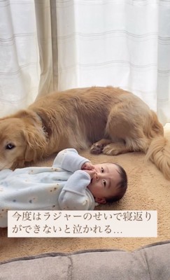 悲しそうな表情