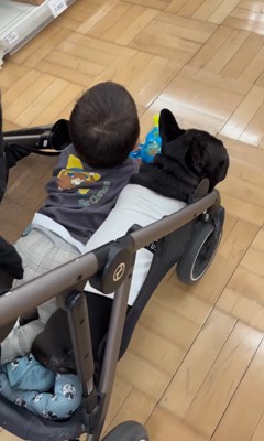 ベビーカーに乗るマウイくんと子どもたち4