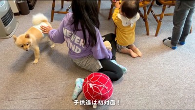 子どもたちの傍を歩く犬