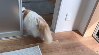 ポテチくんとレモンさんの初対面8