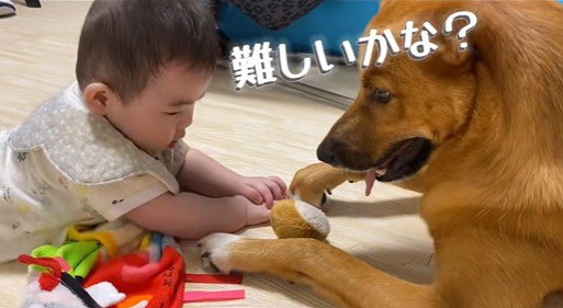 そらちゃんと赤ちゃん6