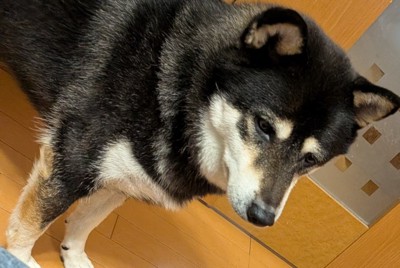 不憫