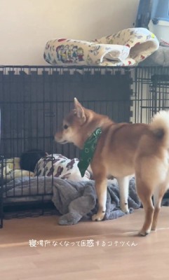 「どうしよう…」