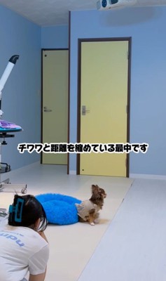 ショコラちゃんと仲良くなるまで2