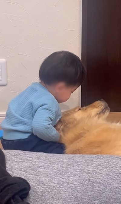 子供と大型犬