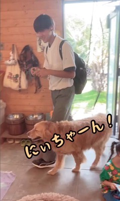 お兄ちゃん帰宅時のボスくん＆ルナちゃん3