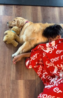 眠るお兄ちゃん