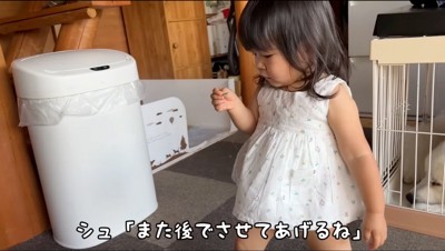 白い大型犬の入ったケージから離れる女の子