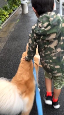 歩いている犬の背中を撫でる男の子