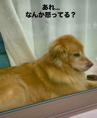ムスッとした表情…