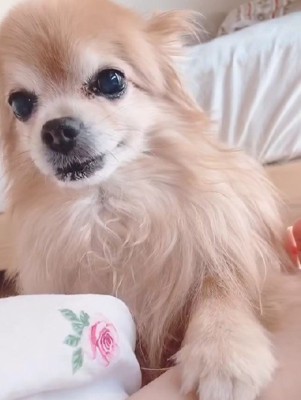 「そろそろ朝だよ」