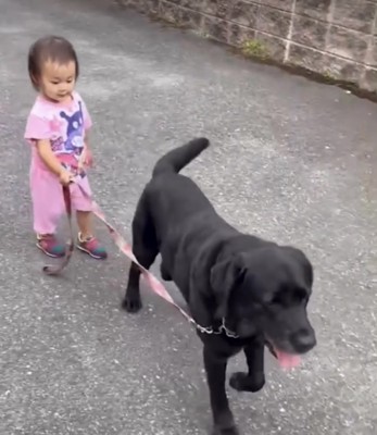 犬の散歩をする子ども