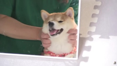 大満足の凛ちゃん