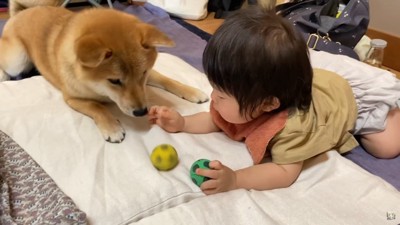 富くんもボール遊びで交流♪