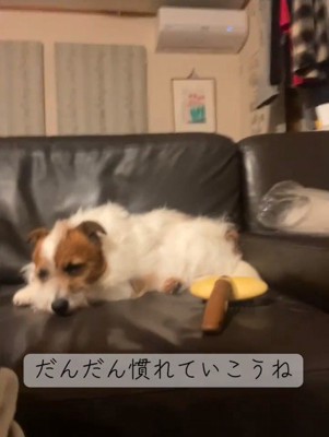 少し緊張が解けたかな？