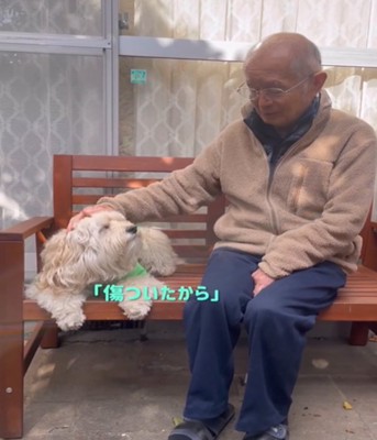 しょんぼりした犬2
