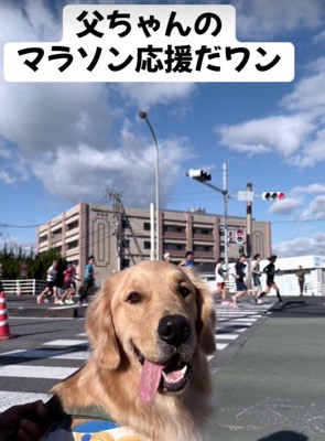 マラソン応援に行くことも♪