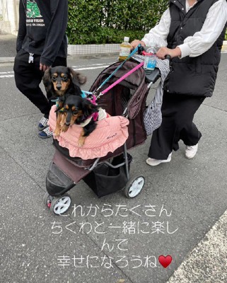 幸せがたくさん訪れますように♪