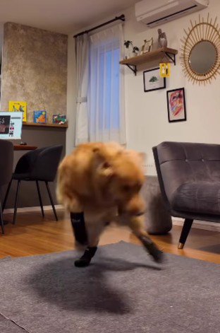 「ひえ～！！」