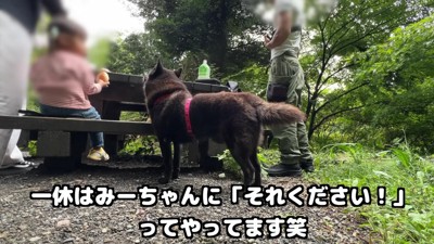 お弁当タイムにウッキウキ♪