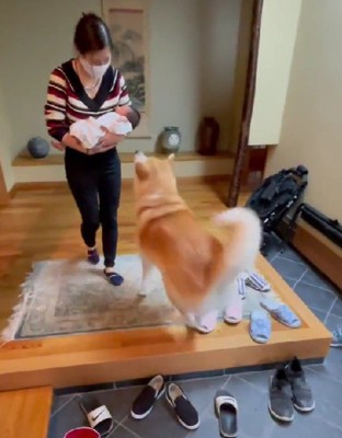 「挨拶させて!」