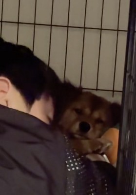 「入りすぎ…」