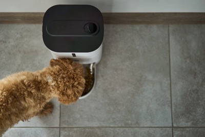 自動給餌器、茶の犬