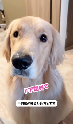 「ドアしめて」