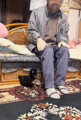 くぅちゃんとおじいちゃん2