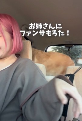 声をかけられる大型犬