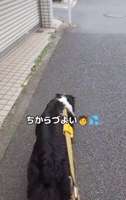 力強い足取りのジッピーくん