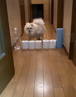 どうやって突破する??