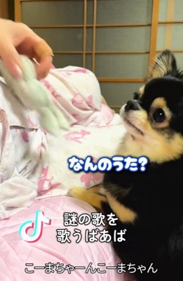 こまちゃんとおばあちゃん6