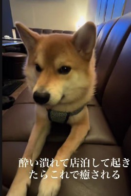 気遣い上手なバトーちゃんでした♡