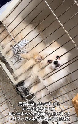 木ノ葉丸くんとの出会い6